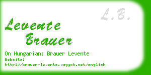 levente brauer business card